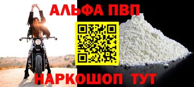 jwh Кингисепп