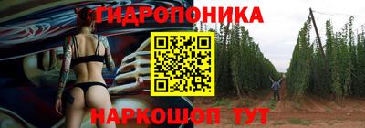 jwh Кингисепп