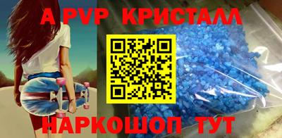 jwh Кингисепп