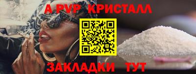 jwh Кингисепп