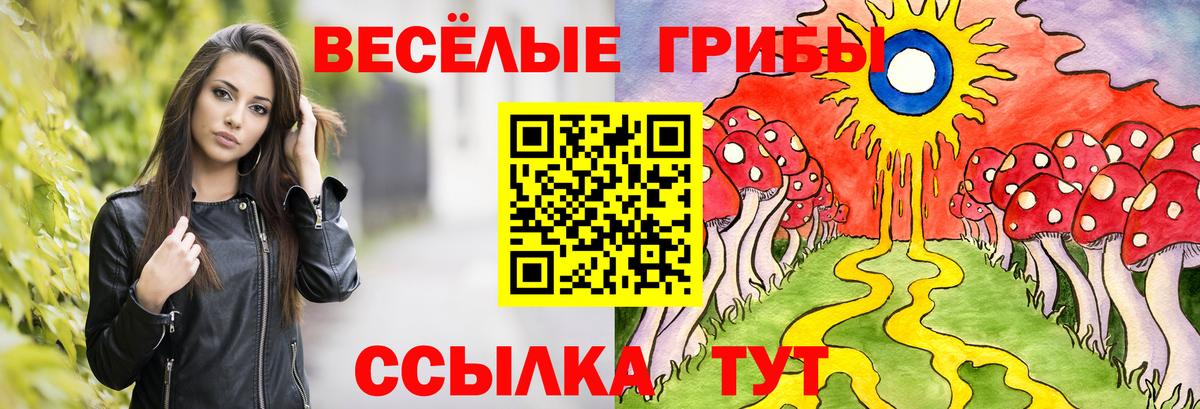 Каспийск  Галлюциногенные грибы GOLDEN TEACHER  Вход с VPN  Псилоцибиновые грибы мицелий 